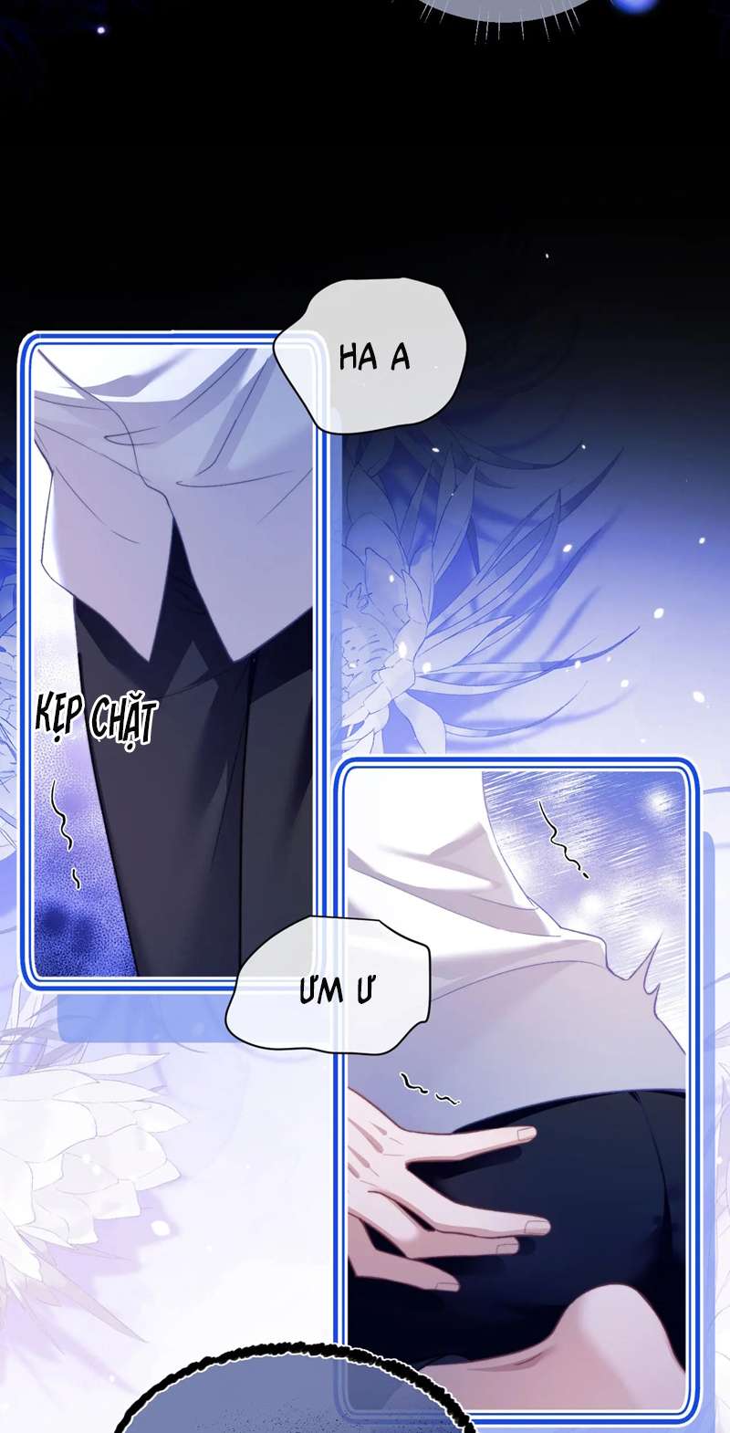 Desharow Nhân Ngư Chap 13 - Trang 2