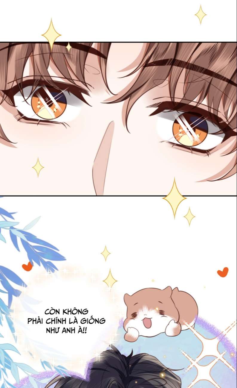 Tổng Tài Định Chế Tư Nhân Chapter 57 - Trang 4