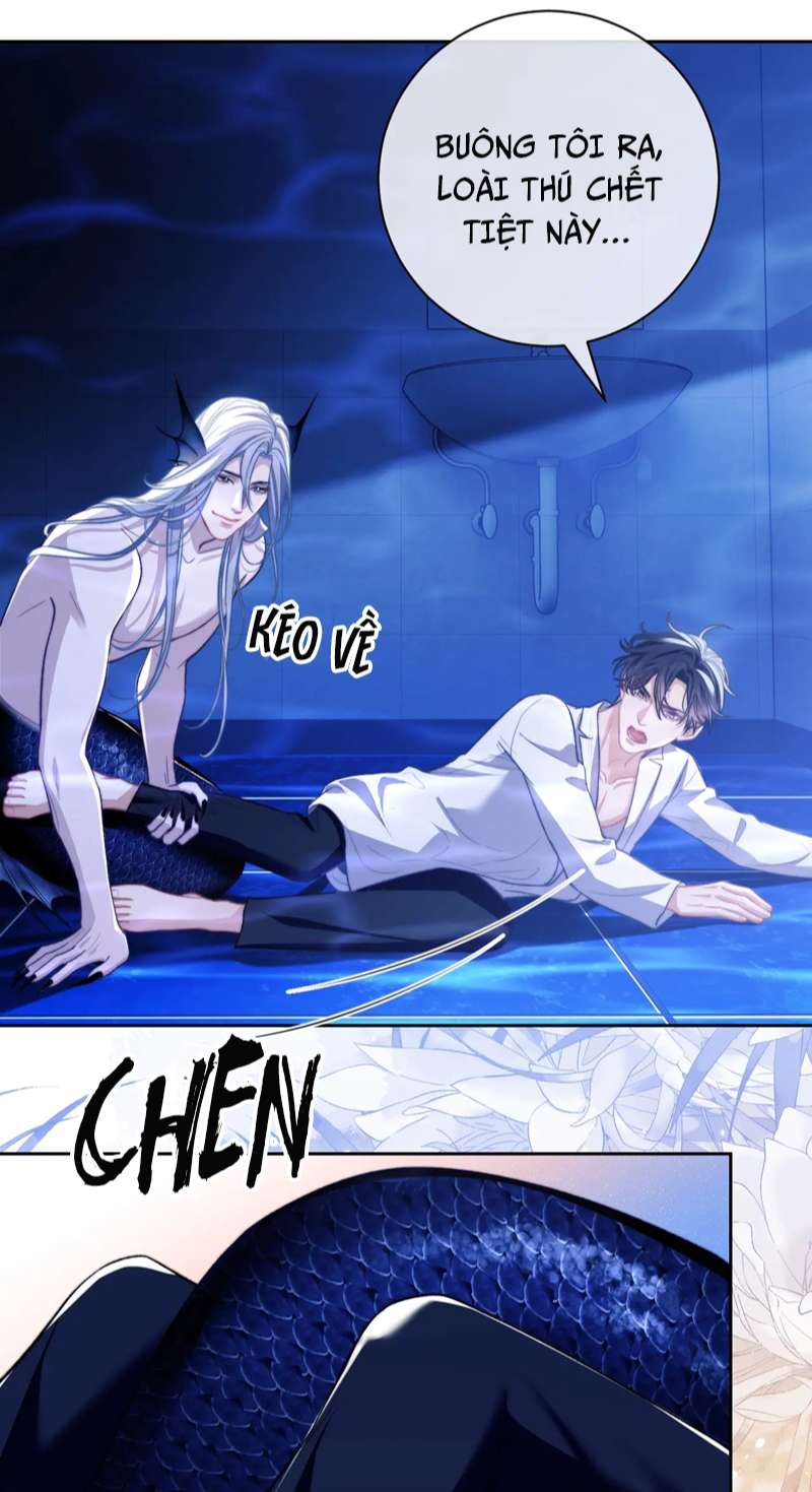 Desharow Nhân Ngư Chapter 14 - Trang 4