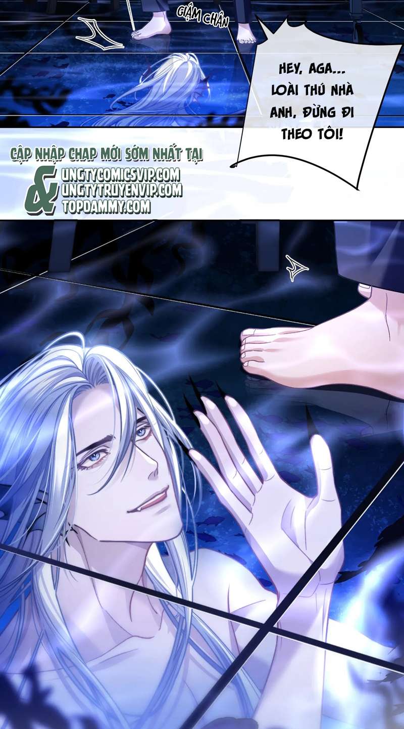 Desharow Nhân Ngư Chapter 14 - Trang 4