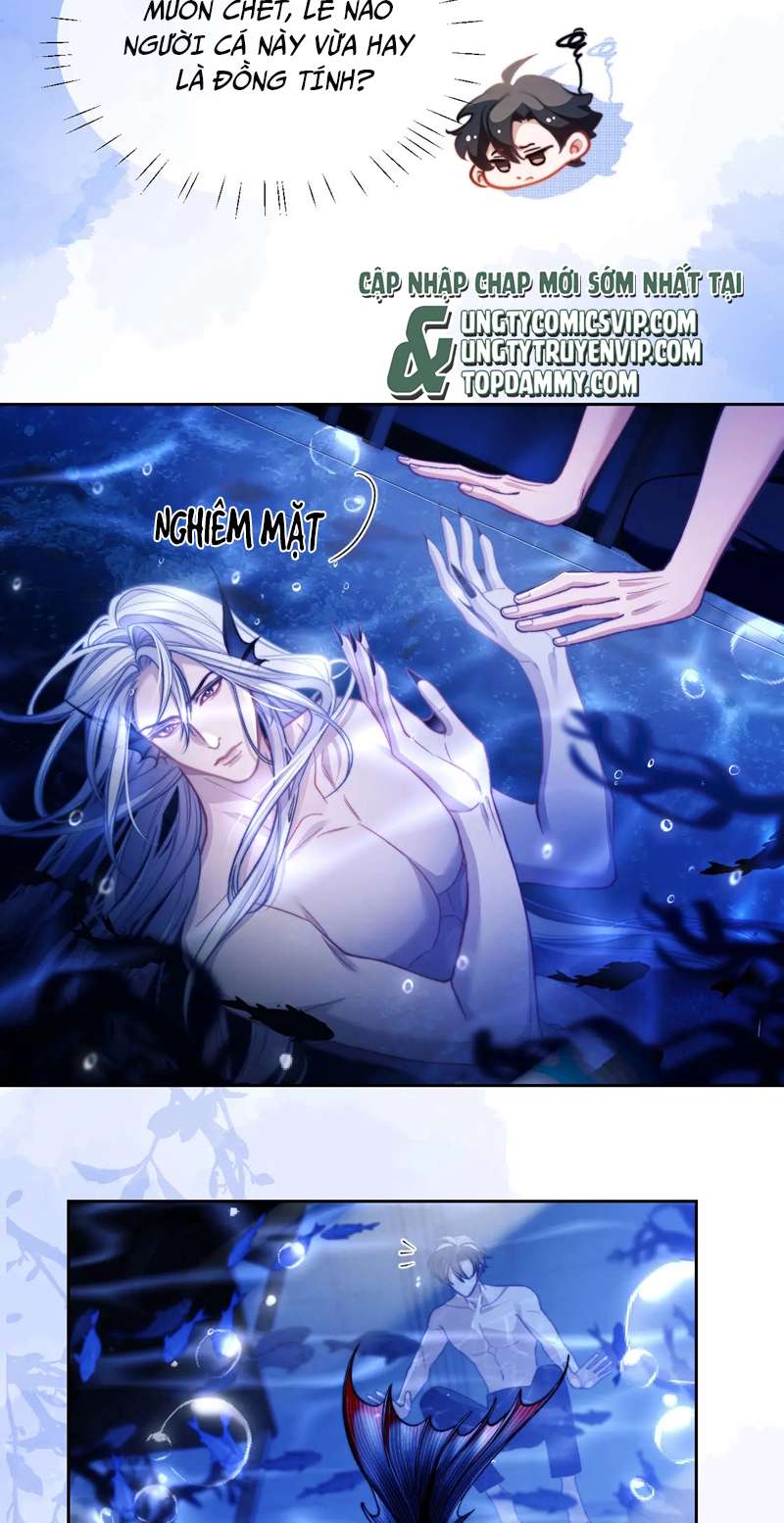 Desharow Nhân Ngư Chapter 14 - Trang 4