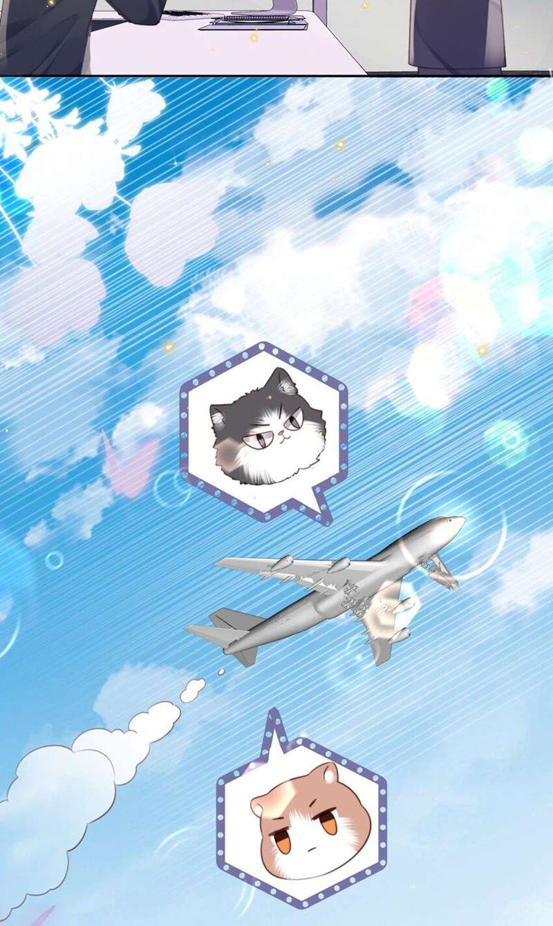 Tổng Tài Định Chế Tư Nhân Chapter 58 - Trang 4