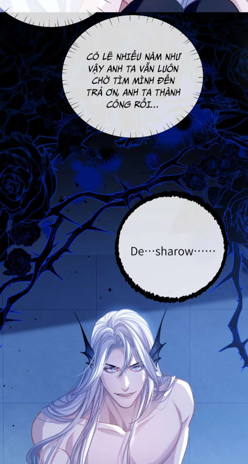 Desharow Nhân Ngư Chapter 15 - Trang 4