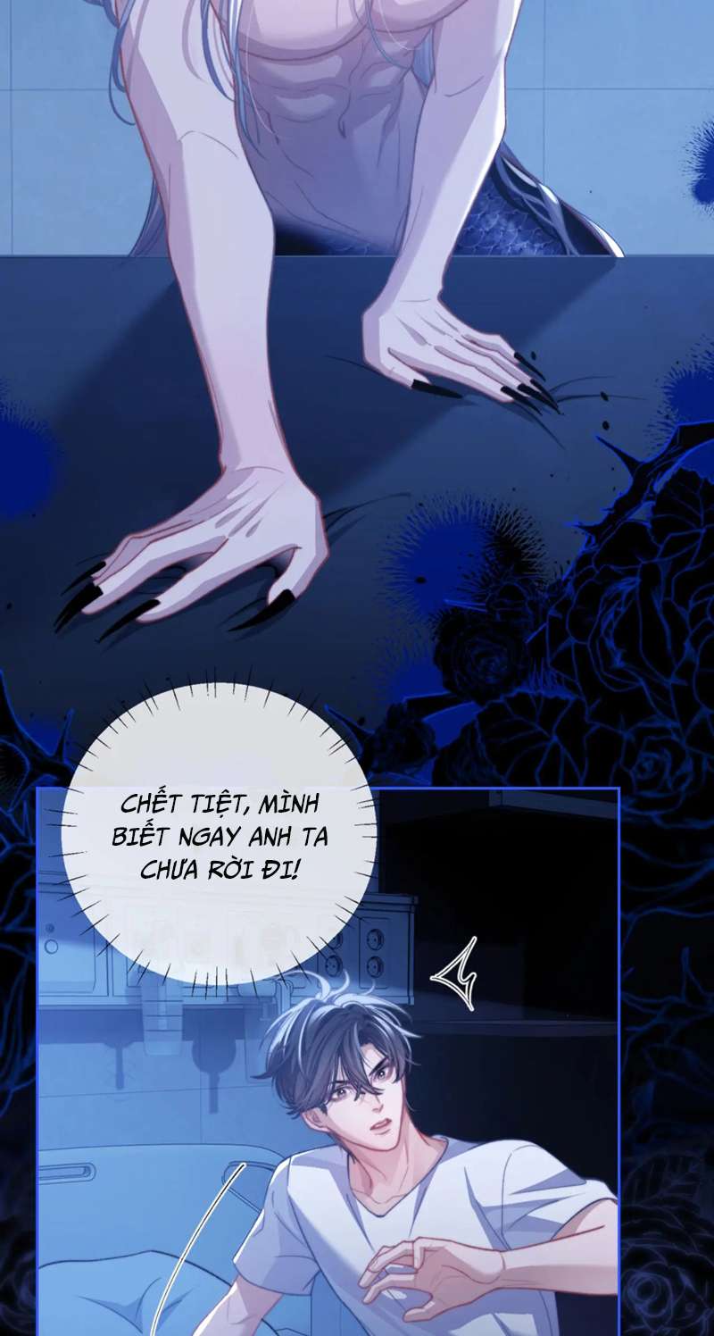 Desharow Nhân Ngư Chapter 15 - Trang 4