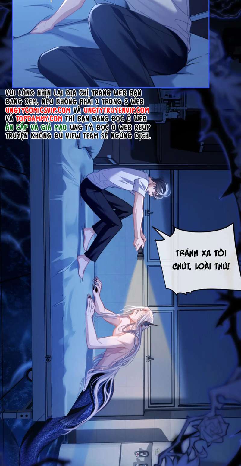 Desharow Nhân Ngư Chapter 15 - Trang 4