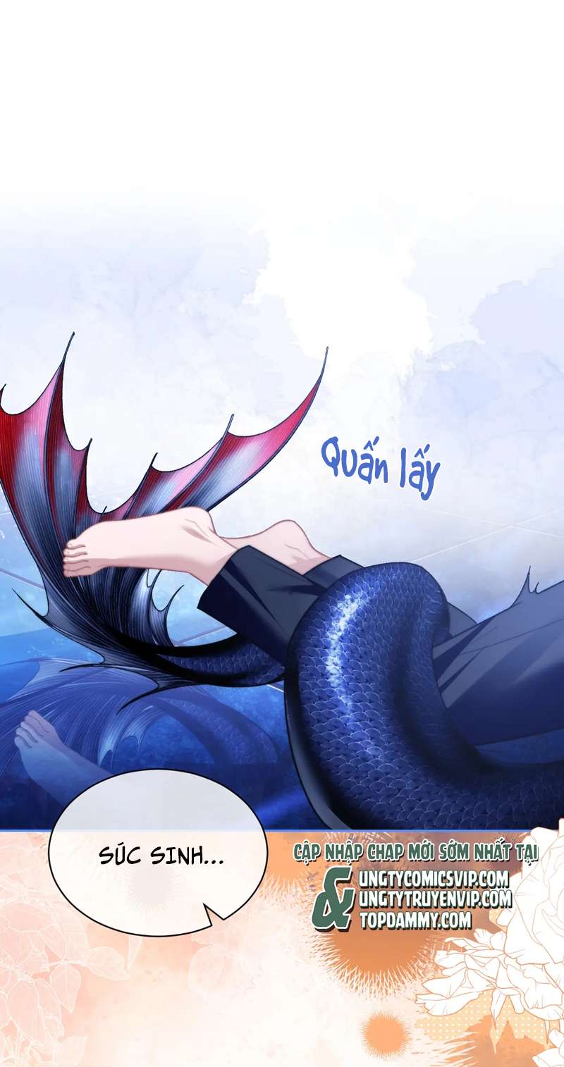 Desharow Nhân Ngư Chapter 15 - Trang 4