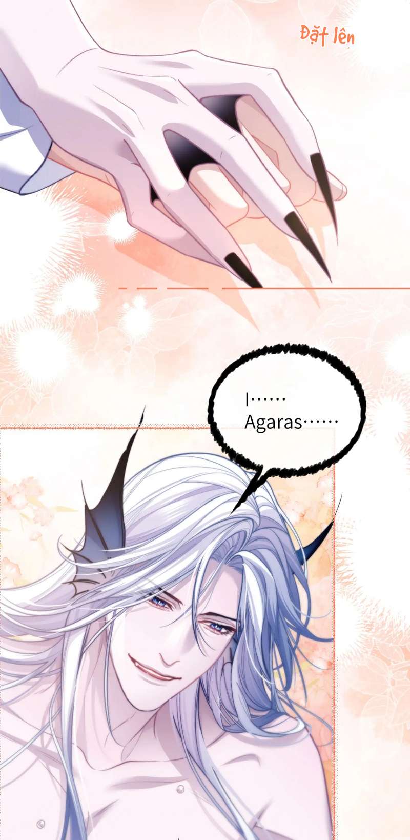 Desharow Nhân Ngư Chapter 15 - Trang 4