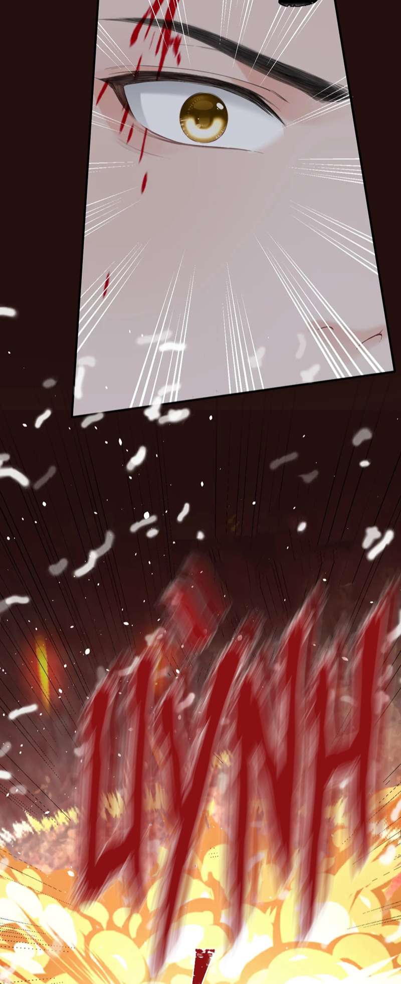 Đơn Xin Ly Hôn Chap 97 - Trang 2