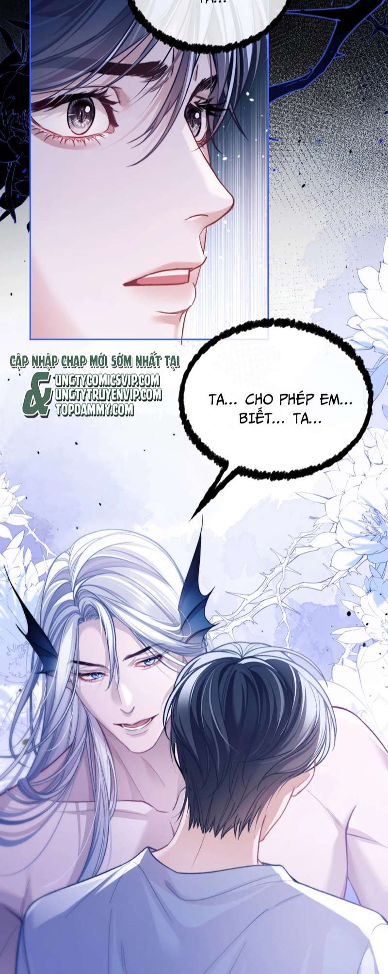 Desharow Nhân Ngư Chapter 16 - Trang 4