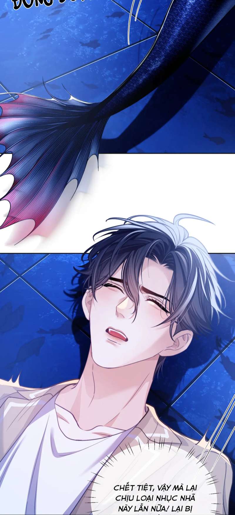 Desharow Nhân Ngư Chapter 17 - Trang 4