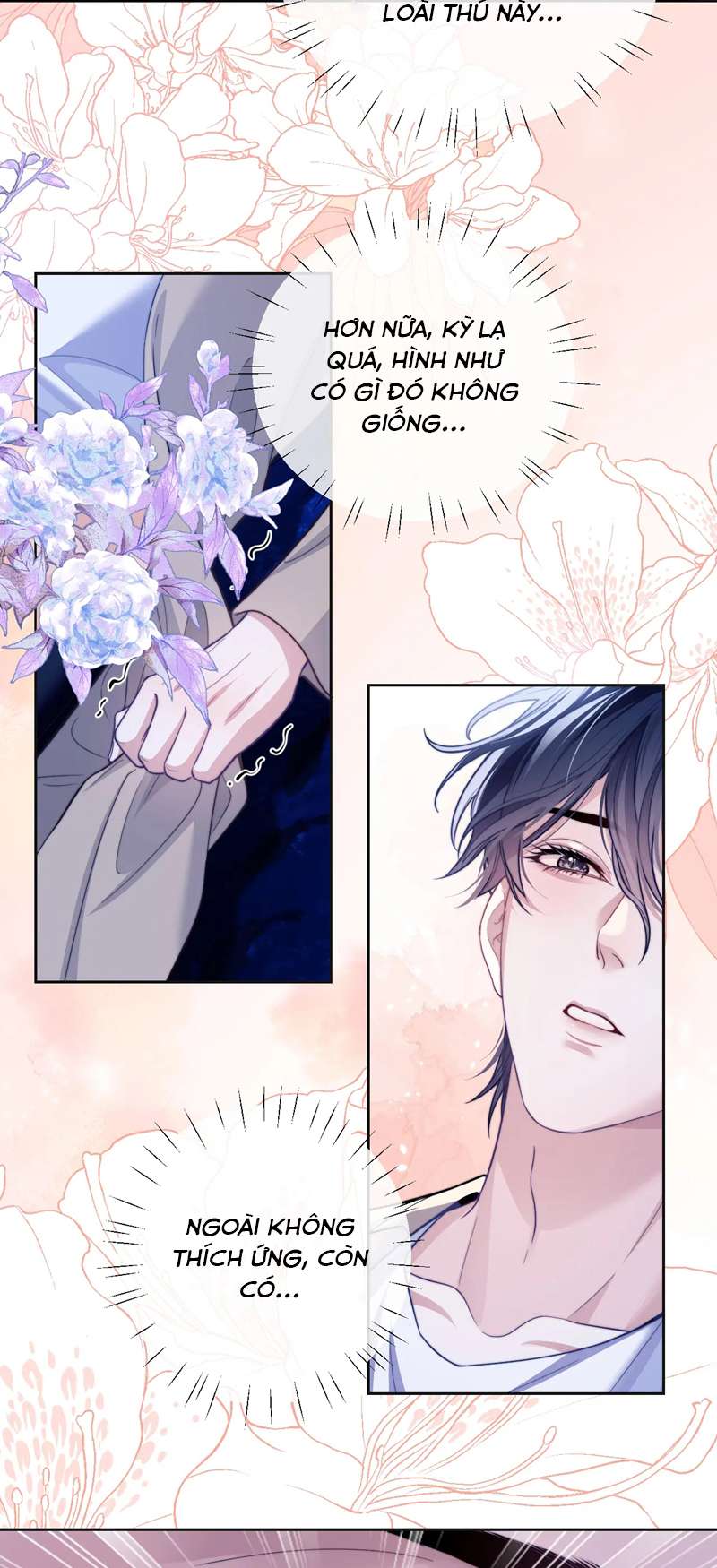 Desharow Nhân Ngư Chapter 17 - Trang 4