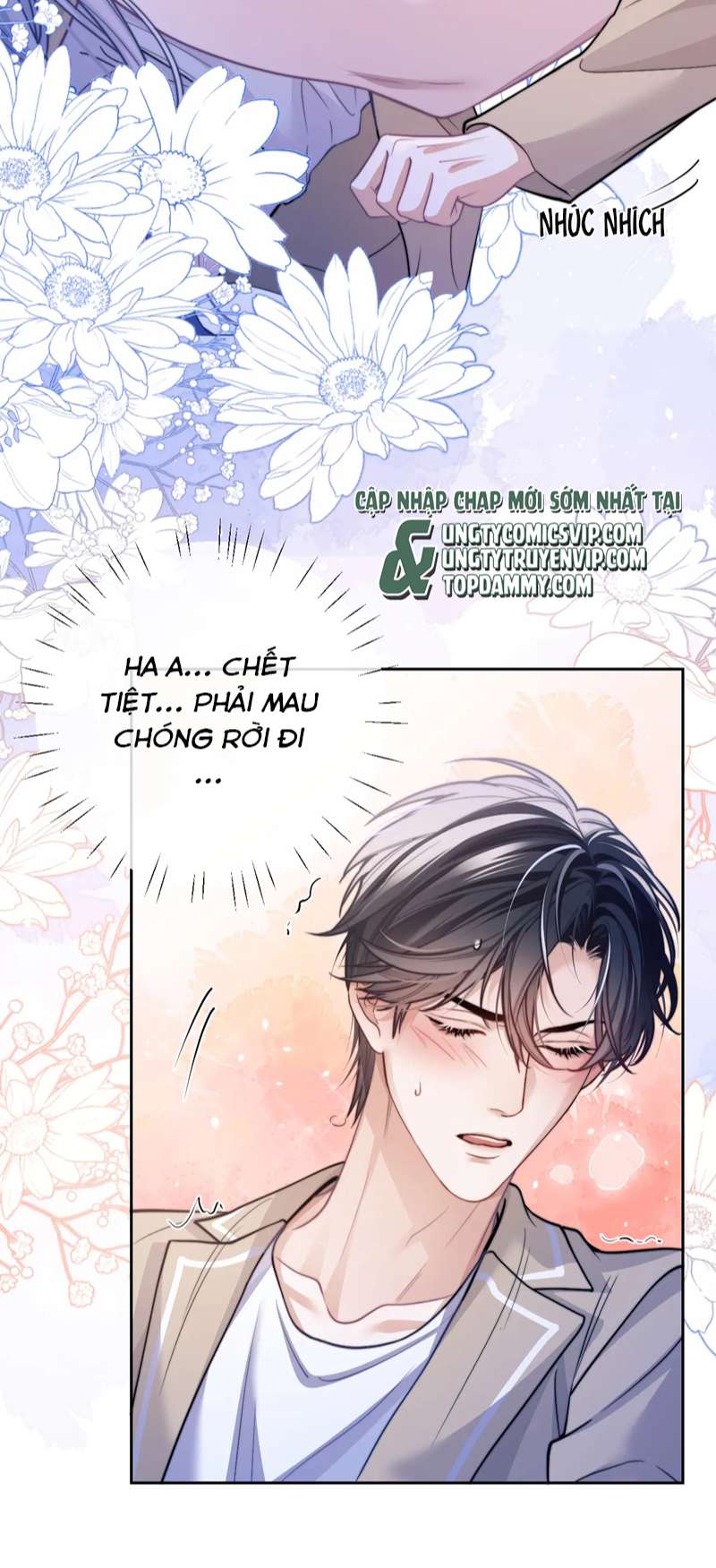 Desharow Nhân Ngư Chapter 17 - Trang 4