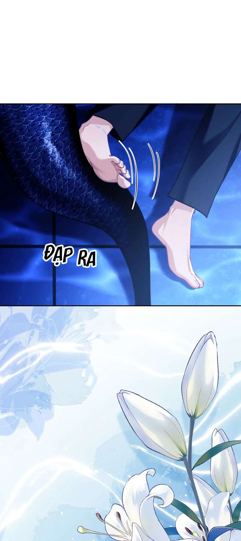 Desharow Nhân Ngư Chapter 17 - Trang 4