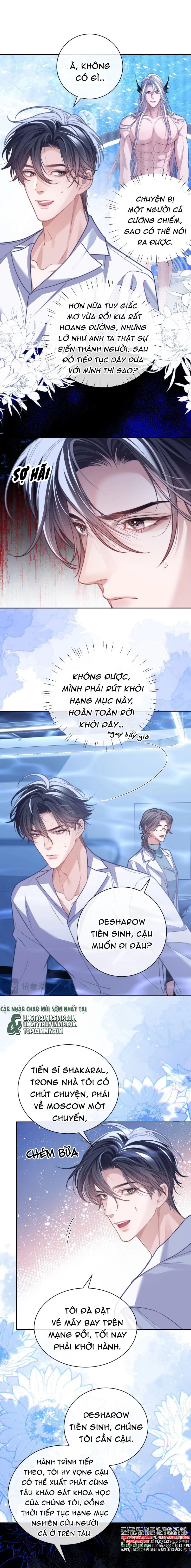 Desharow Nhân Ngư Chapter 19 - Trang 4