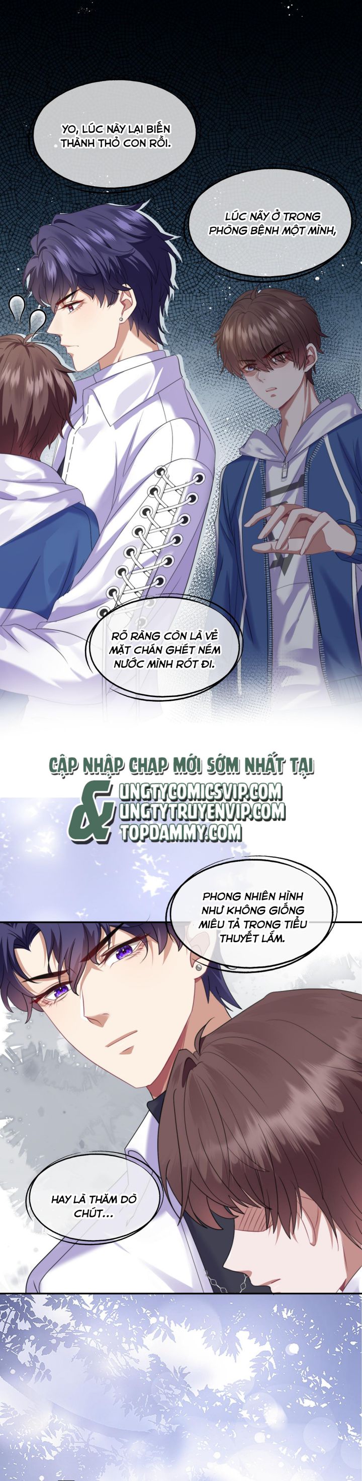 Gài Bẫy Ác Khuyển Chapter 2 - Trang 4