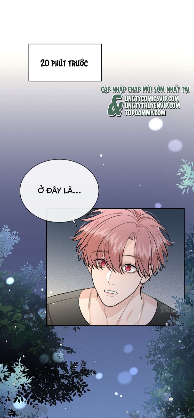 Chó Lớn Bắt Nạt Chủ Chapter 53 - Next Chapter 54