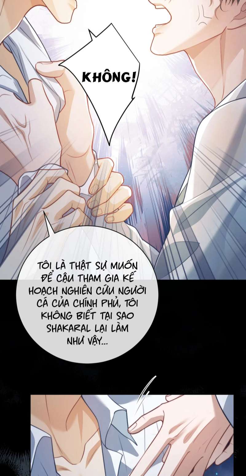 Desharow Nhân Ngư Chapter 20 - Trang 4