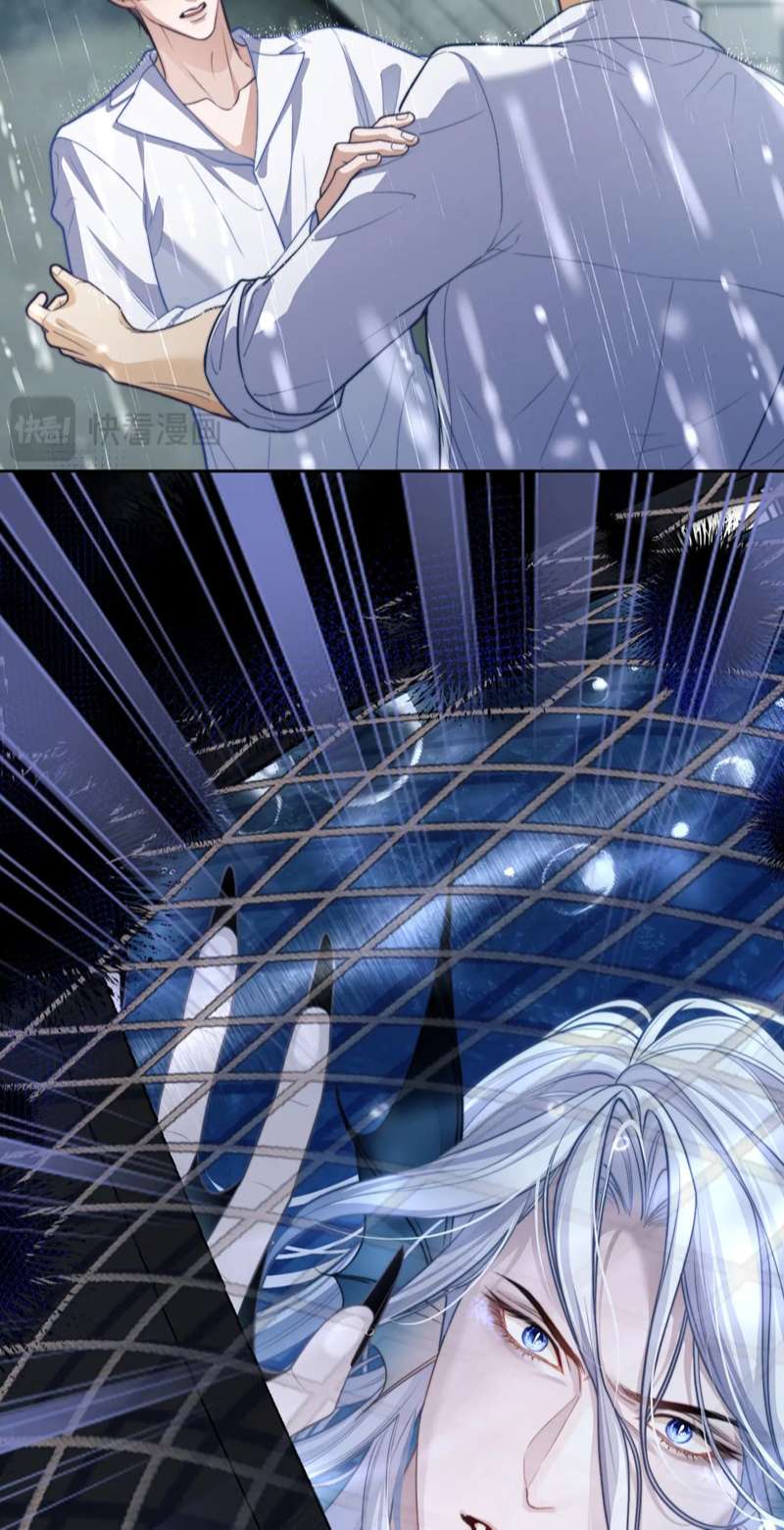 Desharow Nhân Ngư Chapter 20 - Trang 4