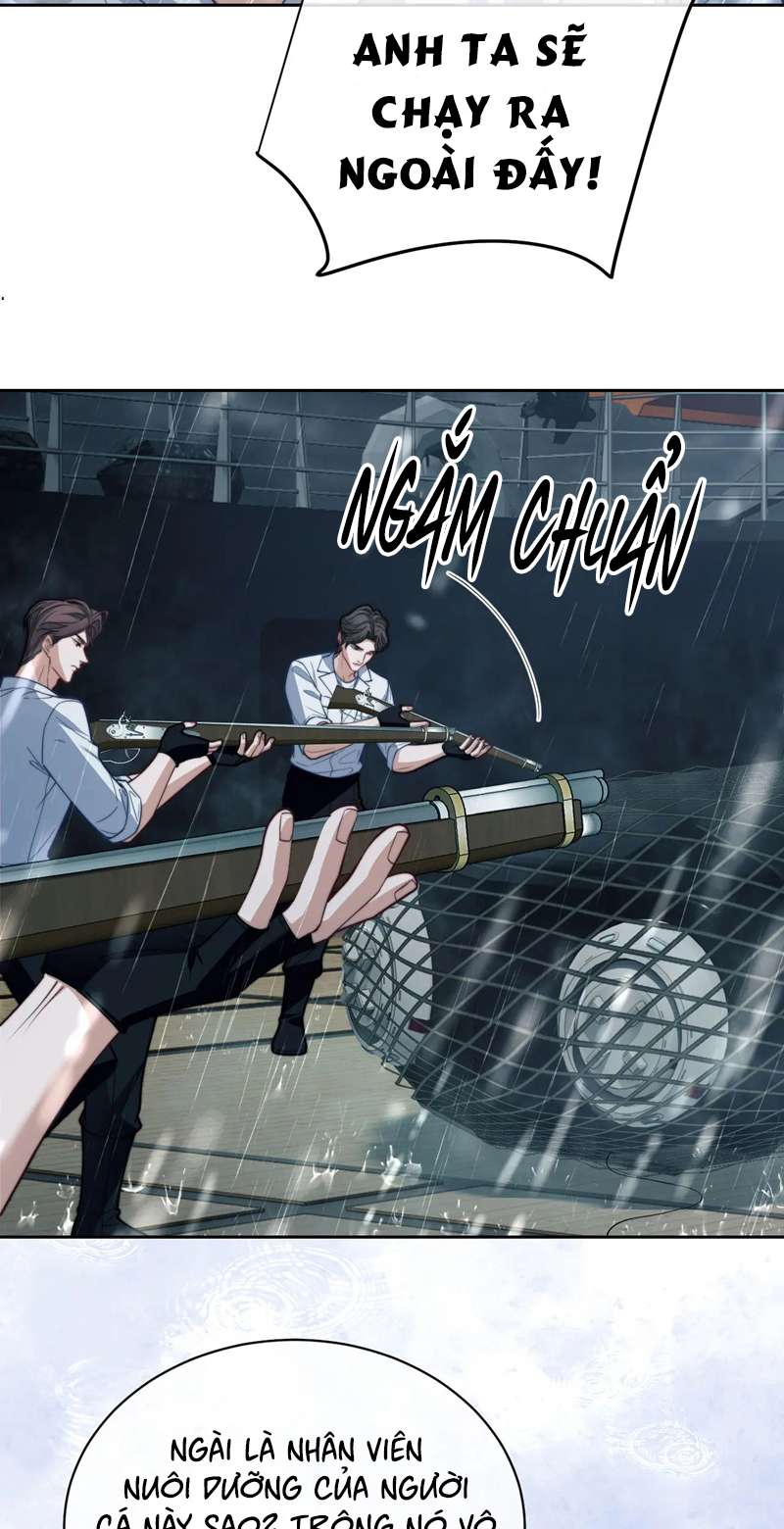 Desharow Nhân Ngư Chapter 20 - Trang 4