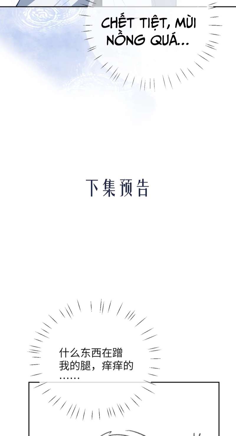 Desharow Nhân Ngư Chapter 20 - Trang 4