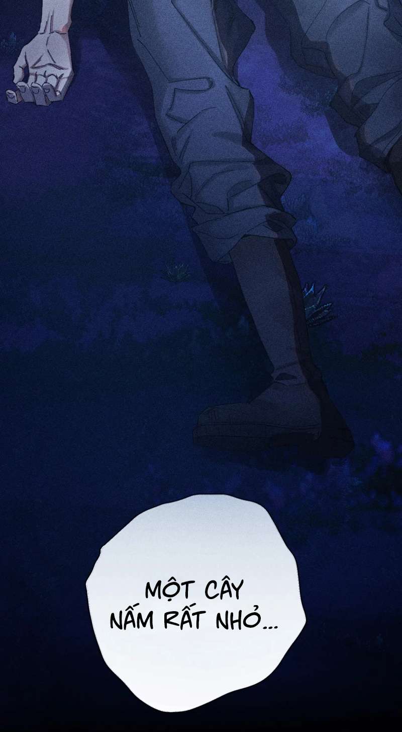 Cây Nấm Nhỏ Chap 3 - Next Chap 4