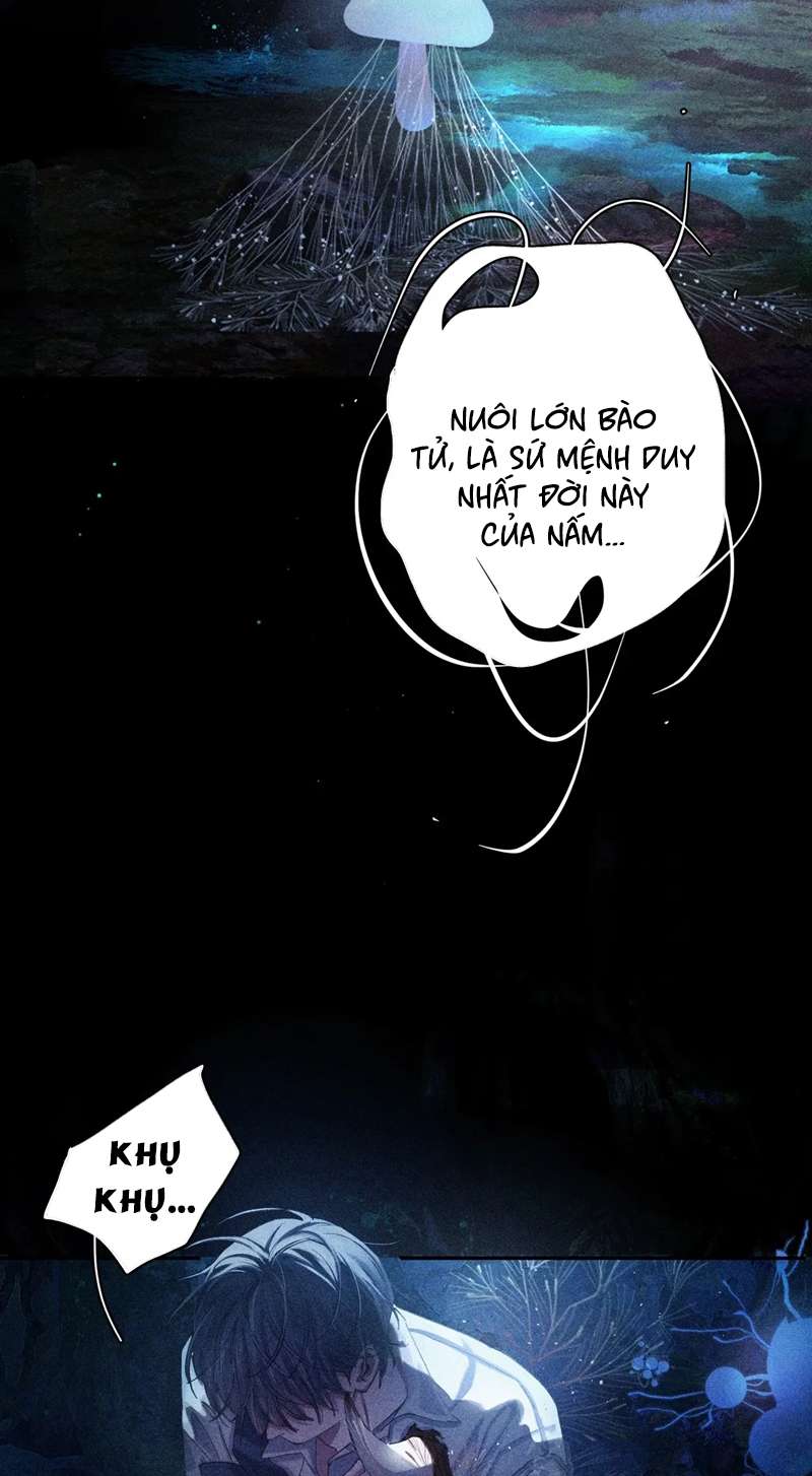 Cây Nấm Nhỏ Chap 3 - Next Chap 4