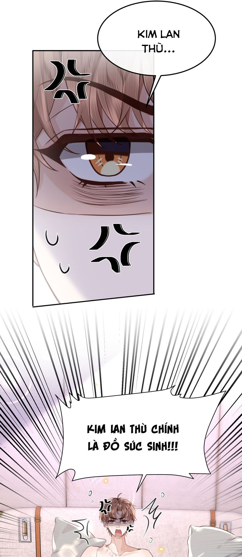 Tổng Tài Định Chế Tư Nhân Chapter 65 - Trang 4