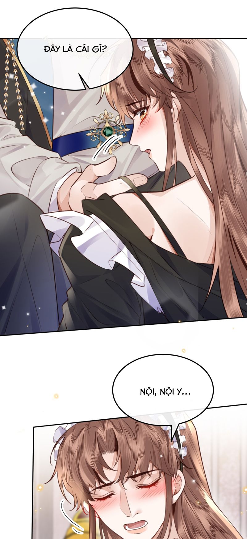 Tổng Tài Định Chế Tư Nhân Phiên Ngoại 2: Nữ hầu và chấp sự - Trang 2