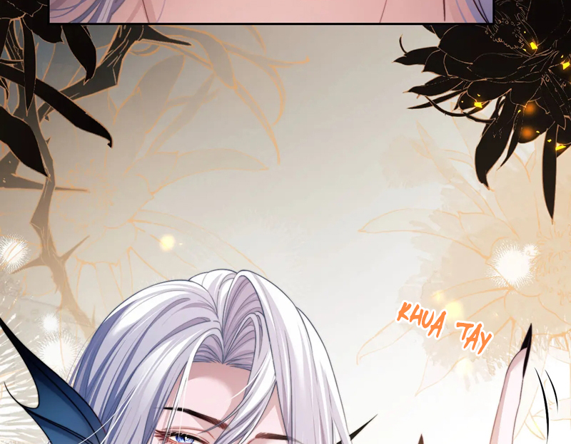 Desharow Nhân Ngư Chapter 22 - Trang 4