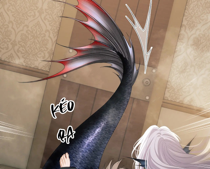 Desharow Nhân Ngư Chapter 22 - Trang 4