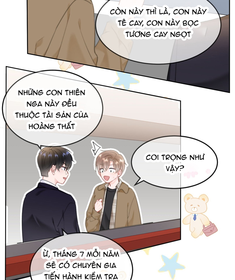 Tôi Và Ảnh Chụp Không Giống Nhau Chapter 45 - Trang 3