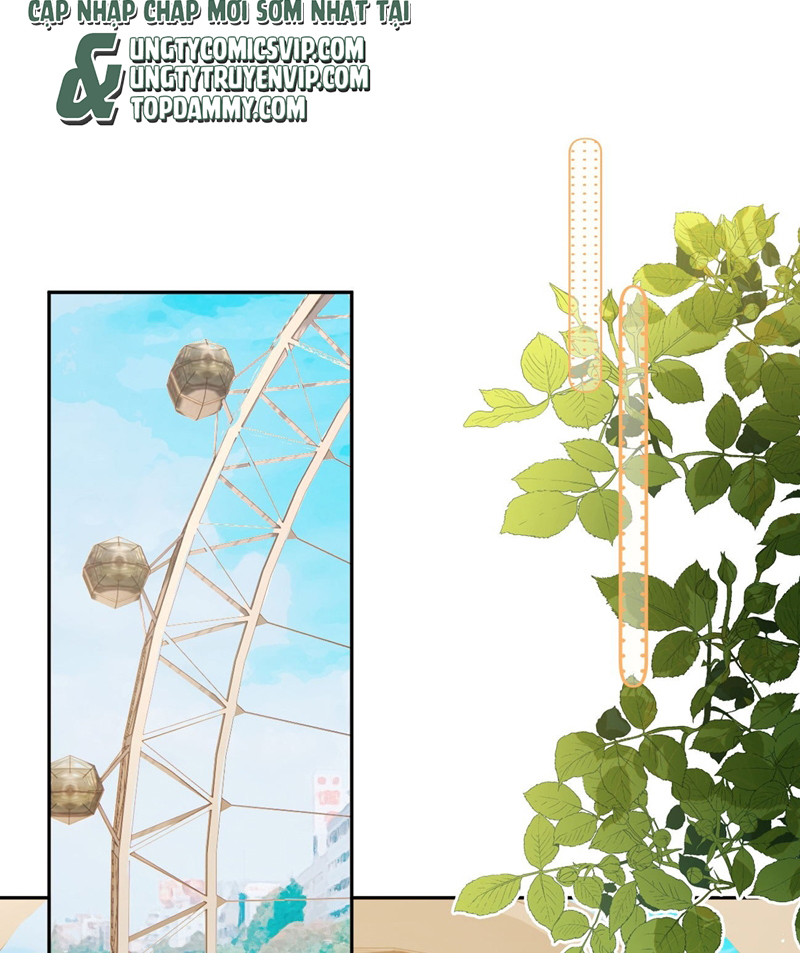 Tôi Và Ảnh Chụp Không Giống Nhau Chapter 45 - Trang 3