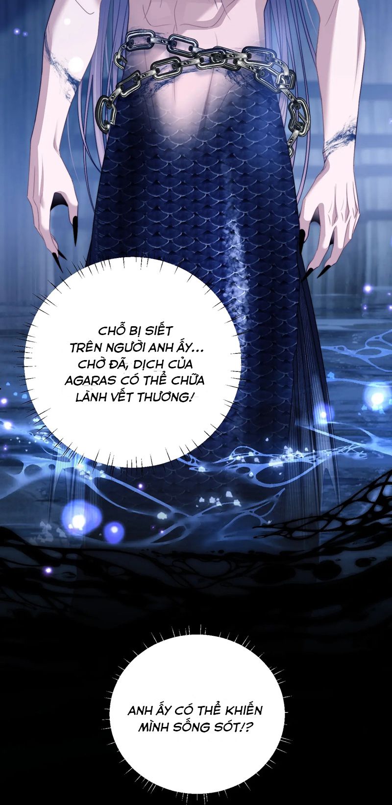 Desharow Nhân Ngư Chapter 25 - Trang 4