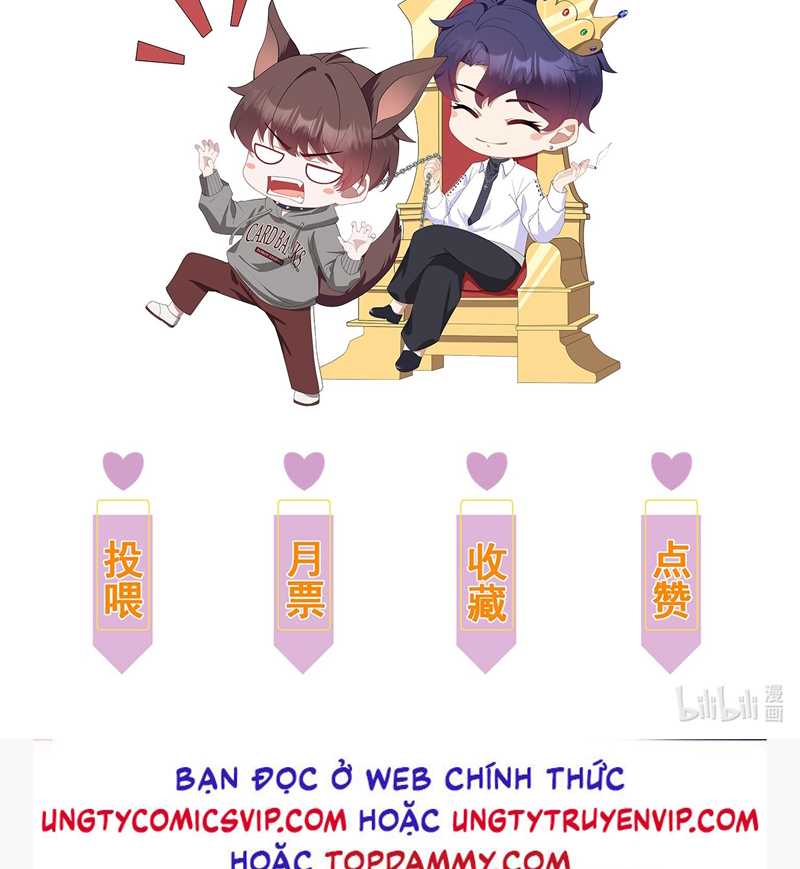 Gài Bẫy Ác Khuyển Chapter 13 - Trang 4