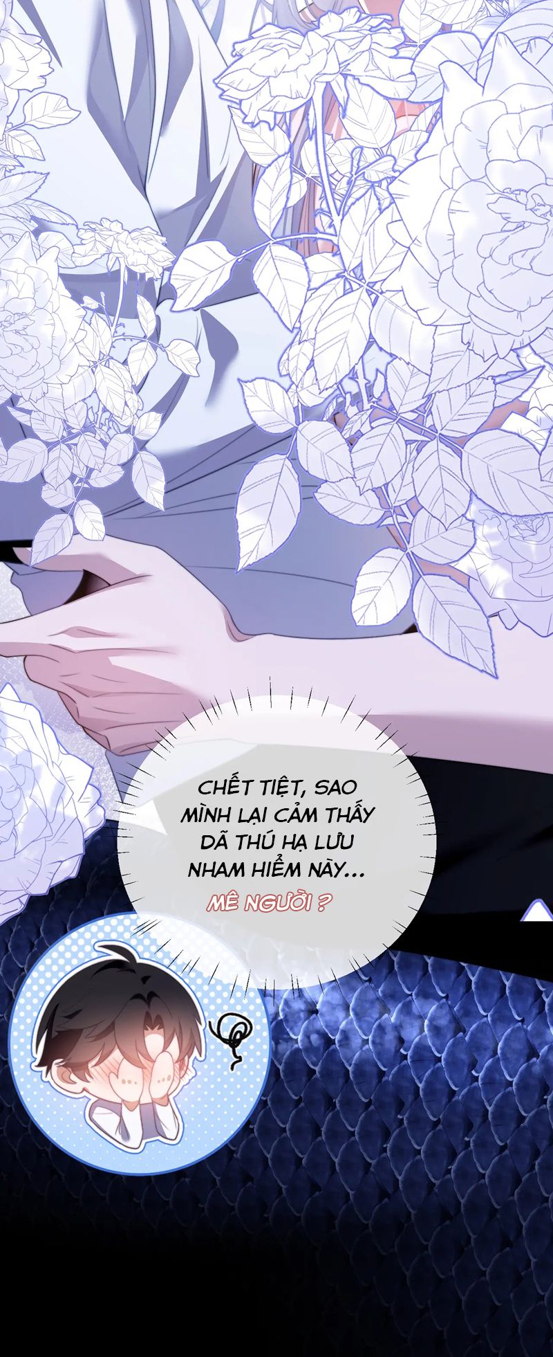 Desharow Nhân Ngư Chapter 26 - Trang 4