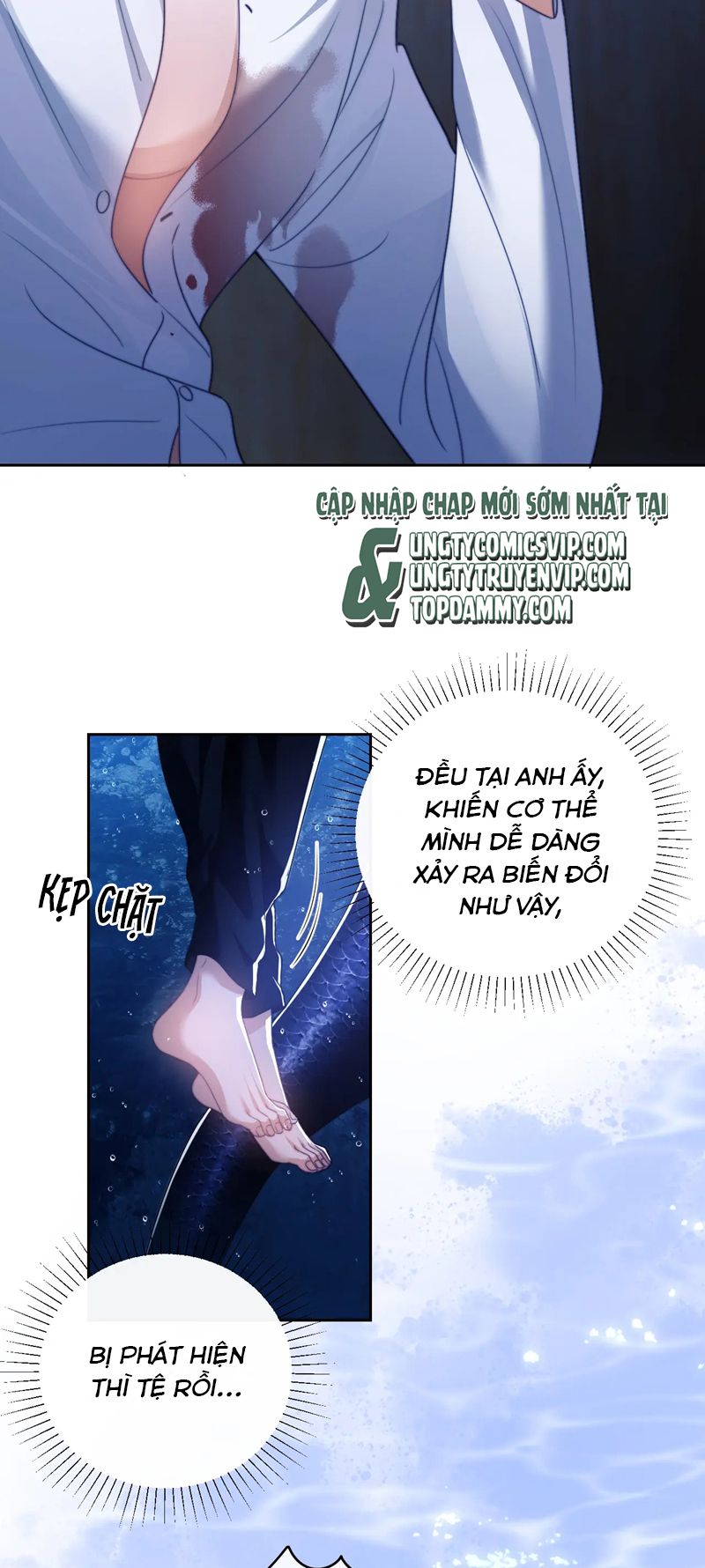 Desharow Nhân Ngư Chapter 26 - Trang 4