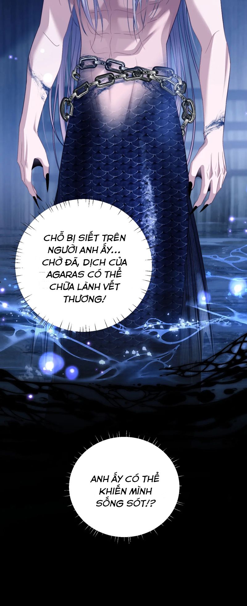 Desharow Nhân Ngư Chapter 26 - Trang 4