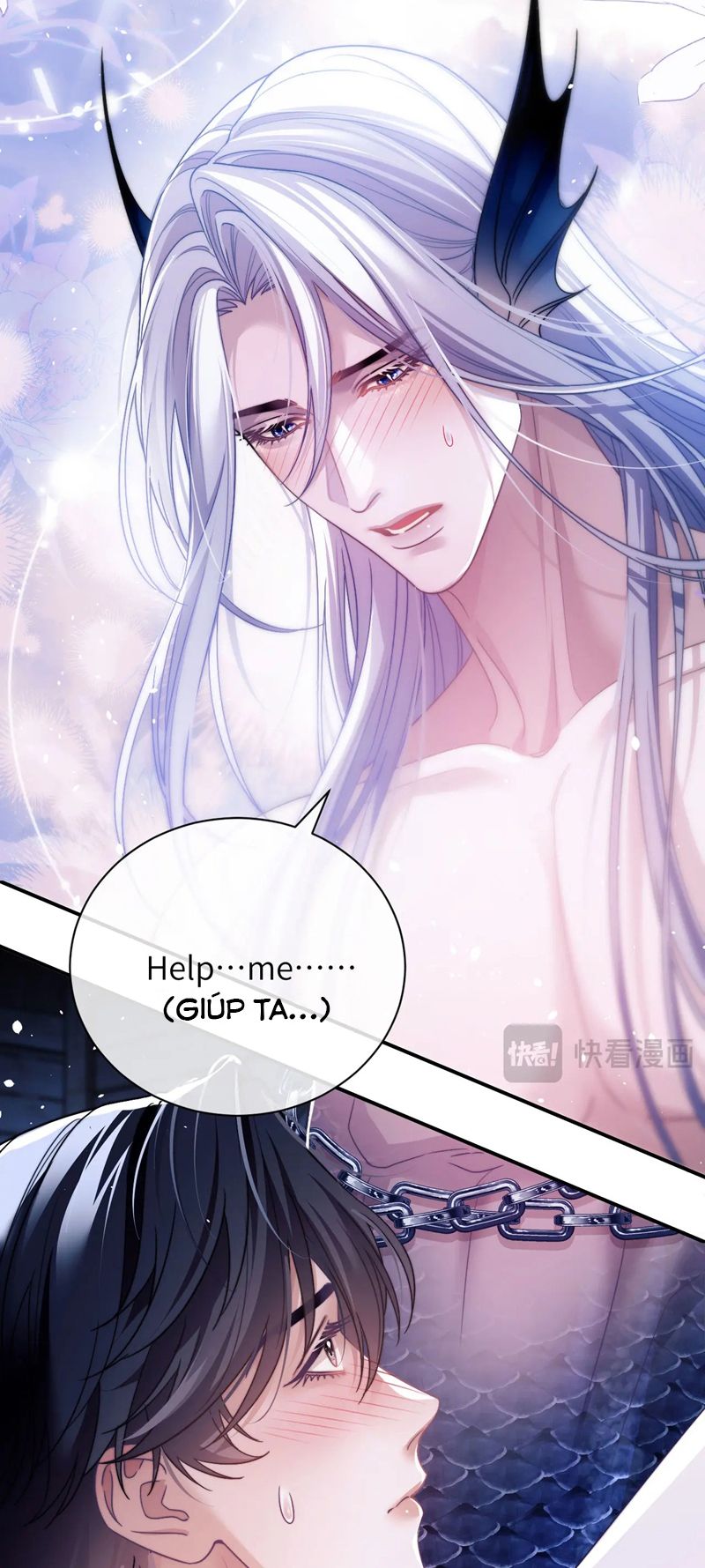 Desharow Nhân Ngư Chapter 27 - Trang 4