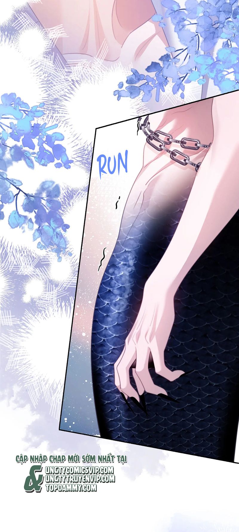 Desharow Nhân Ngư Chapter 27 - Trang 4