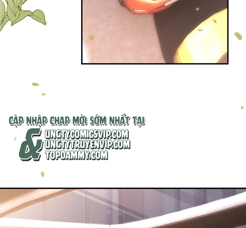 Chấp Sự Thỏ Cụp Tai Chapter 79 - Next Chapter 80