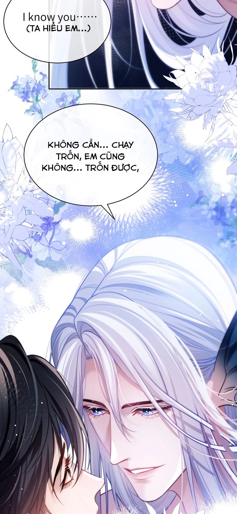 Desharow Nhân Ngư Chapter 29 - Trang 4