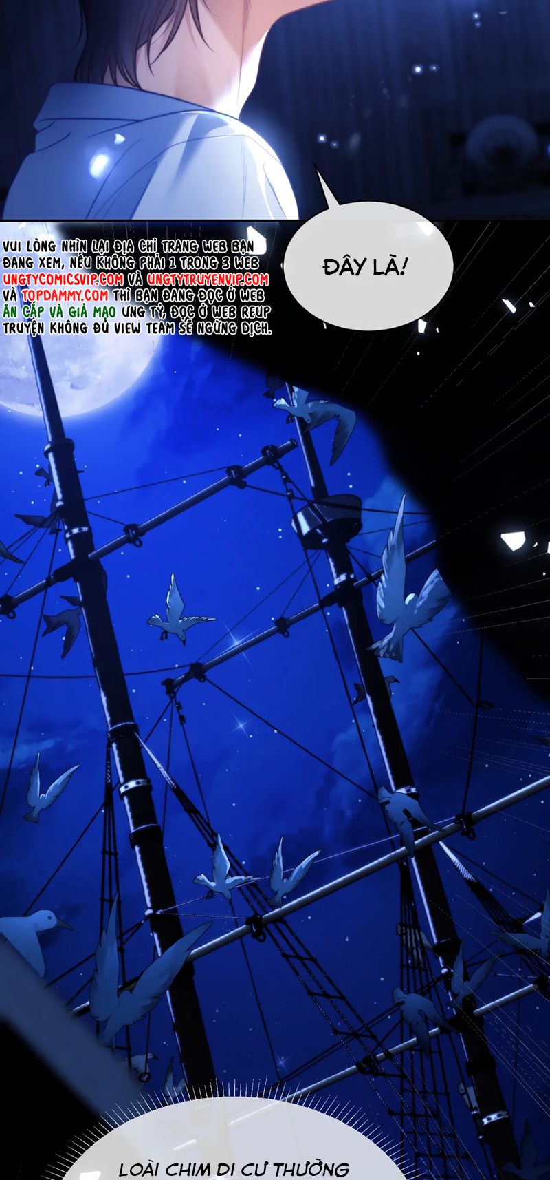 Desharow Nhân Ngư Chapter 29 - Trang 4