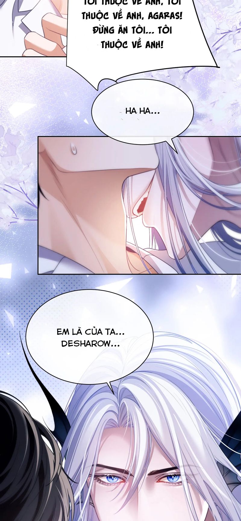 Desharow Nhân Ngư Chapter 29 - Trang 4