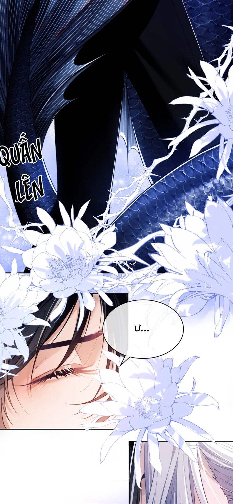 Desharow Nhân Ngư Chapter 29 - Trang 4