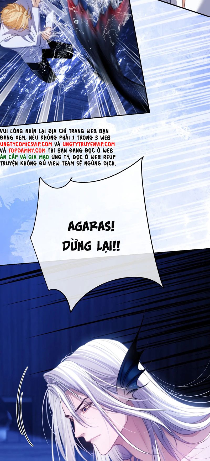 Desharow Nhân Ngư Chapter 30 - Trang 4