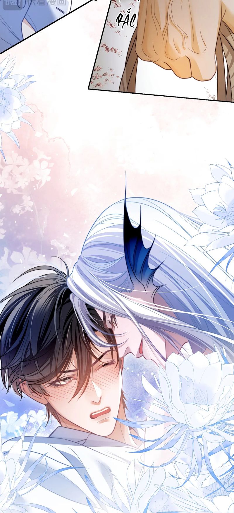 Desharow Nhân Ngư Chapter 30 - Trang 4