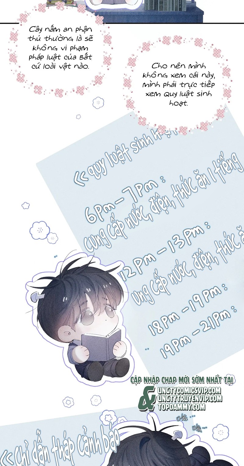 Cây Nấm Nhỏ Chap 12 - Next Chap 13