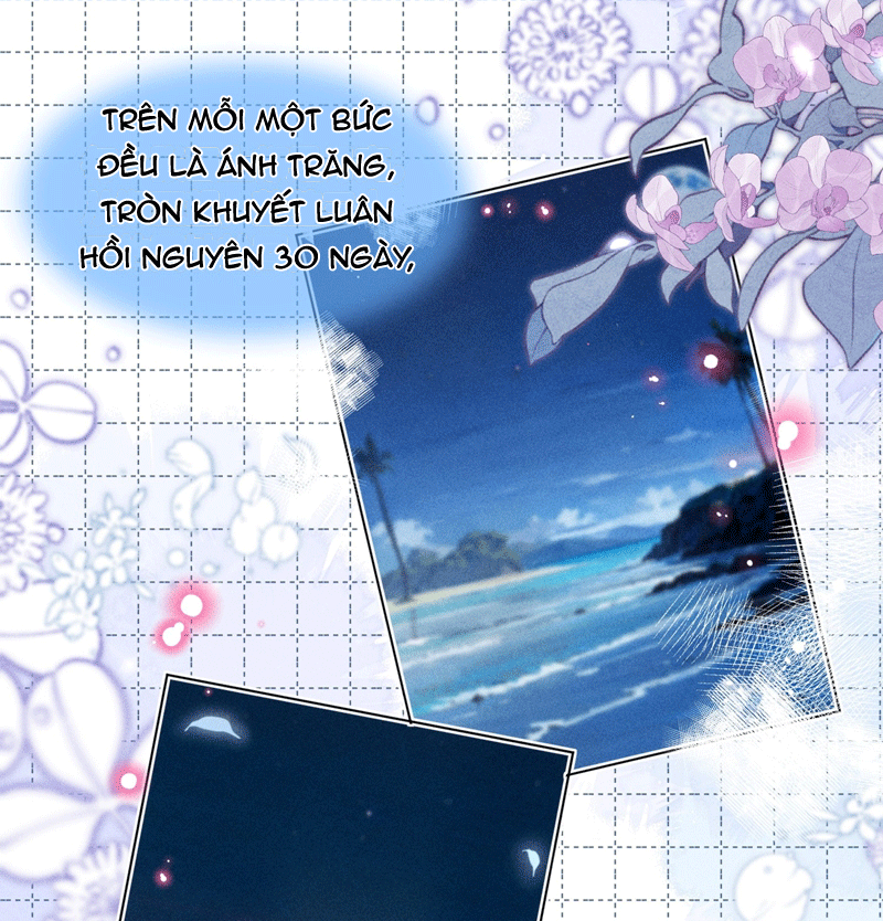 Ánh Trăng Vì Tôi Mà Đến Chapter 49 - Trang 4