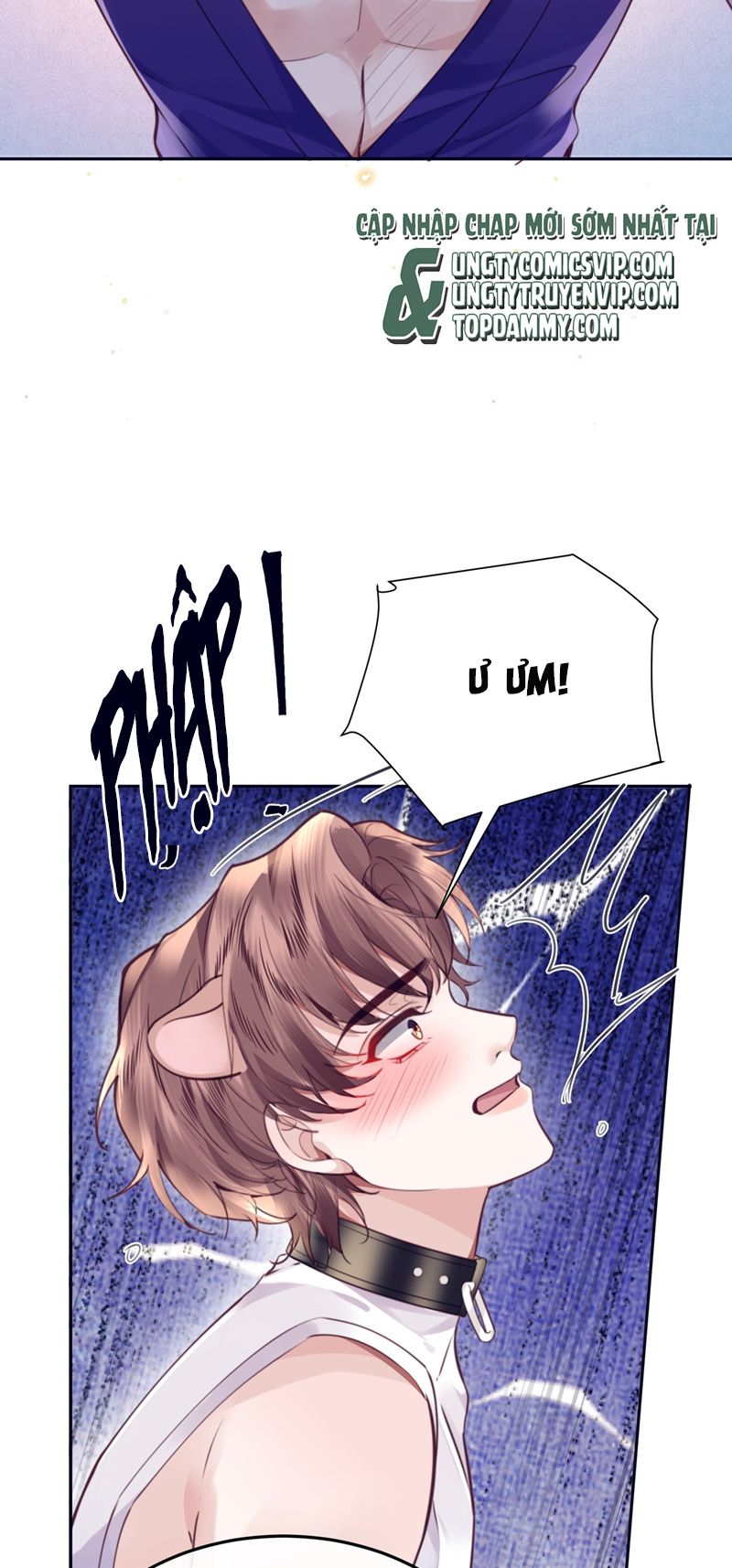 Tổng Tài Định Chế Tư Nhân Chapter 77 - Trang 4