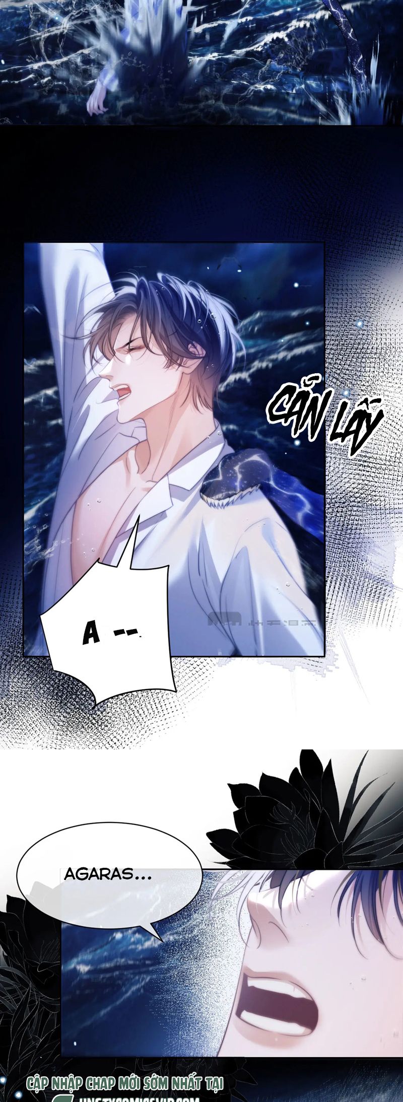 Desharow Nhân Ngư Chapter 32 - Trang 4